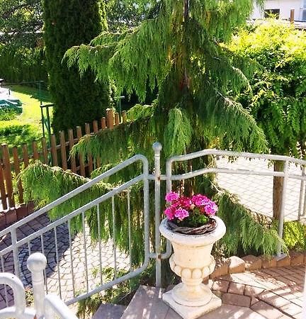 Ferienwohnung Eigner Traben-Trarbach Dış mekan fotoğraf